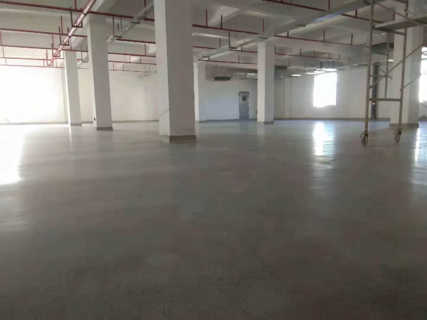 微信圖片_20190126100825